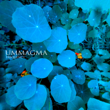 Ummagma_-_Frequency_(cover)